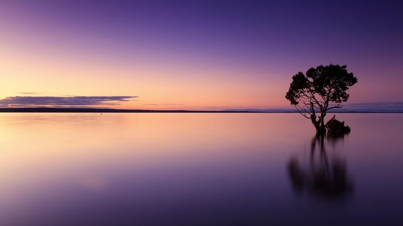 Twilight Shot 2